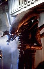 Alien (1979) - The Alien