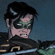 Robin 2
