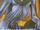 Timewyrm