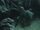 Shelob