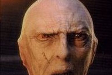 Voldemort harry store potter 1