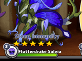 Flutterdrake Salvia