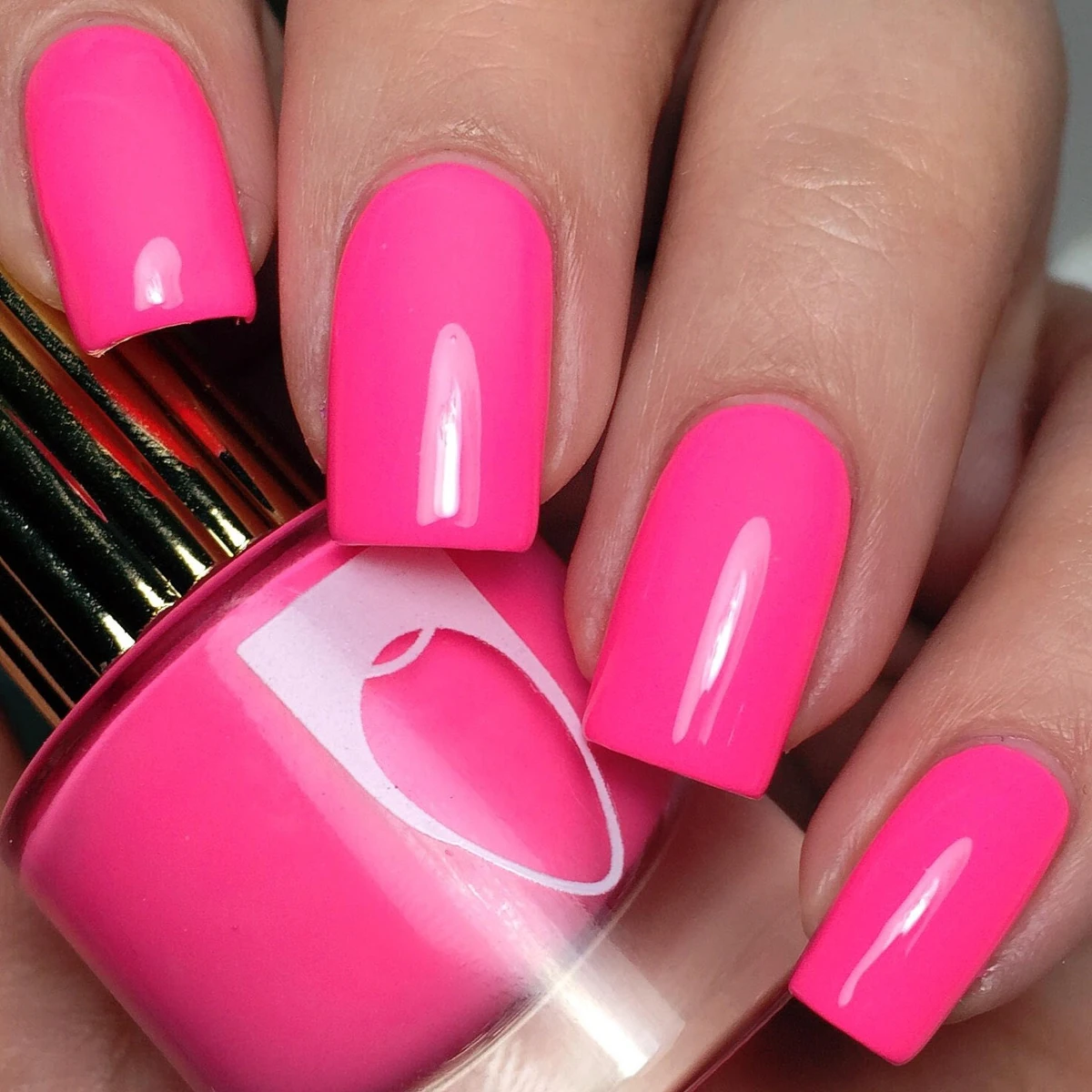 Maliboob Job Neon colors! Wiki Fandom