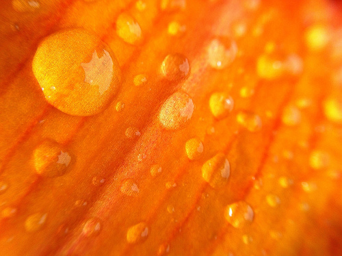Bright orange cheap