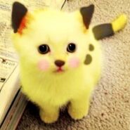 Pika