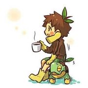 Turtwig