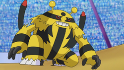 Paul Electivire