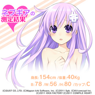 Nepgear's mk2 measurements 2