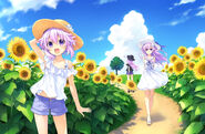 HDNOVA-Summer Neps Illustration