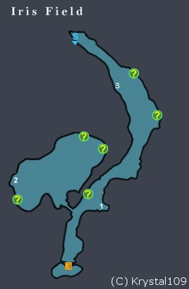 Iris Field