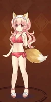 Swimsuit + Fox Compa SNRPG