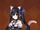 Cat Ears & Tail Set Noire SNRPG.jpg