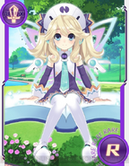 NC Histoire3