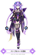 MainichiCH-Purple Heart Ninja Garb