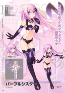 Hyperdimension Neptunia Mk2 Art Book~ Purple Sister