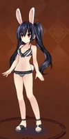 Swimsuit + Bunny Noire SNRPG