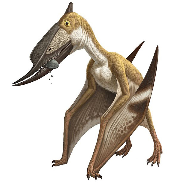 Pterosaur - Wikipedia