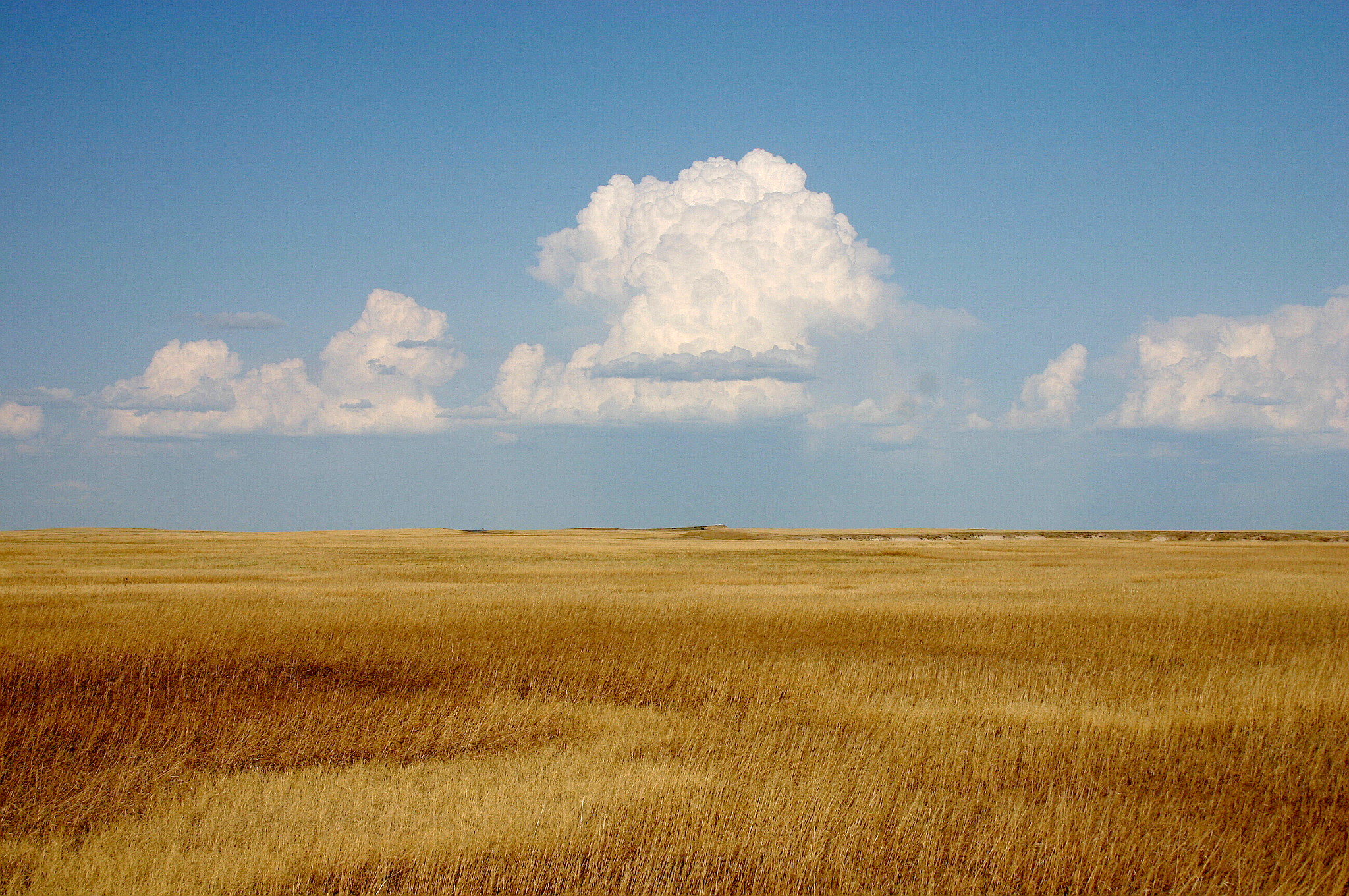 Ahote Prairie Nerdiverse Wiki Fandom