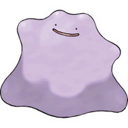 Ditto Pattern