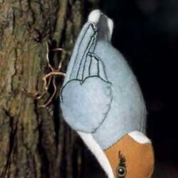 Bird stuffed animal pattern top