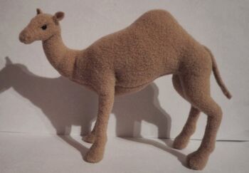 SPF.camel.Elli