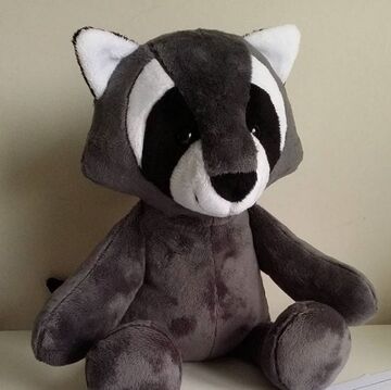 Carter's raccoon stuffed animal top