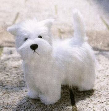 West highland store terrier knitting pattern