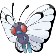 Butterfree Patterns