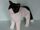 Cat Plushie Sewing Pattern 1 (Runo)