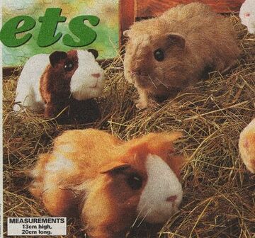 Guinea pig hotsell stuffed animal pattern