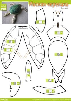 23+ Sea Turtle Sewing Pattern - TobiasMinerva