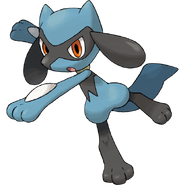 Riolu Patterns