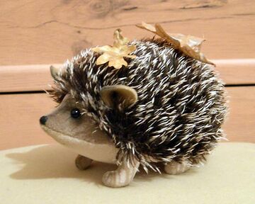 Stuffed hedgehog sewing pattern store