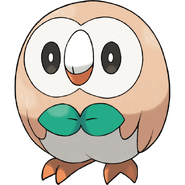 Rowlet Patterns