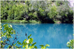 Vrelo bunice -bunica spring.jpg