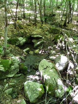 Sourse of the river Neretva (54753582).jpg