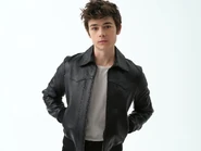 Ashby in leather