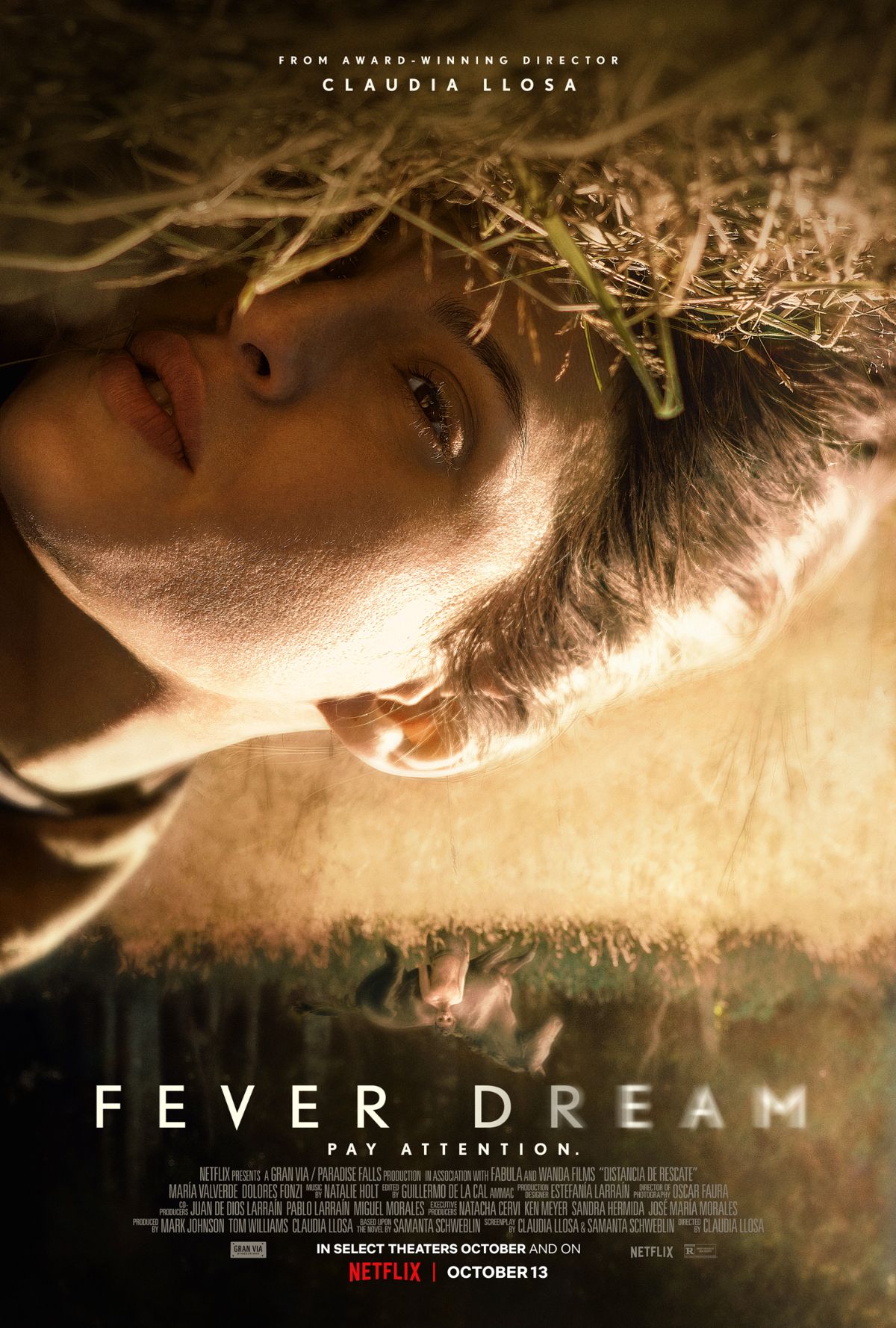 Fever Dream | Netflix Wiki | Fandom