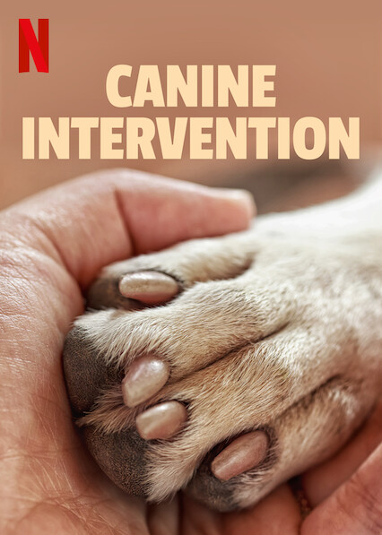 Canine Intervention Netflix Wiki Fandom