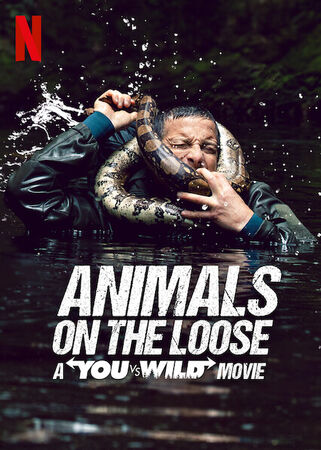 American animals netflix uk clearance