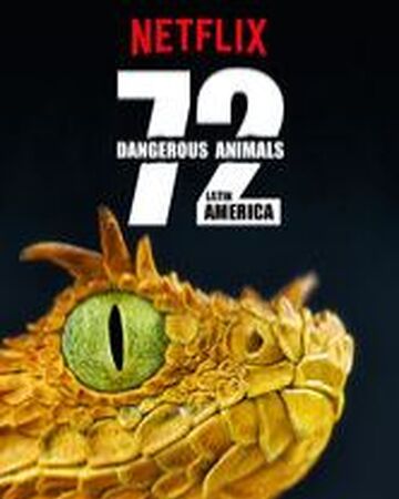 72 dangerous animals latin america netflix wiki fandom