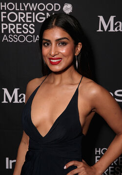 Pallavi Sharda is the latest Bollywood actress to bag a show in the US -  INDIA New England News