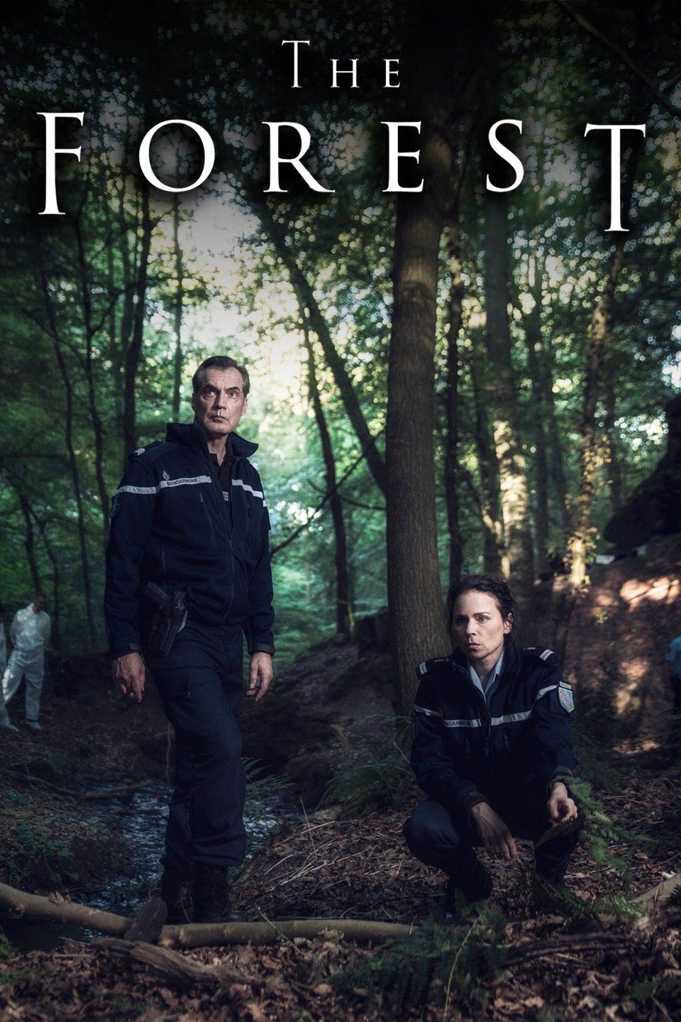 Donde assistir The Forest - ver séries online