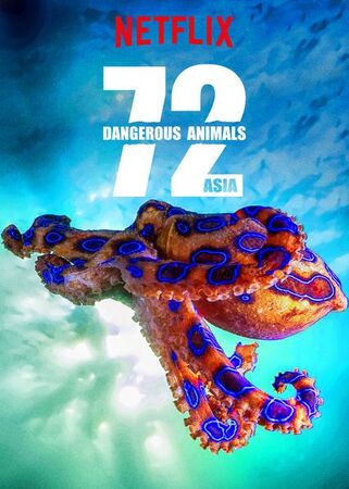 72 Dangerous Animals: Asia | Netflix Wiki | Fandom
