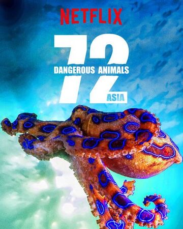 72 dangerous animals asia netflix wiki fandom