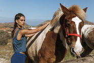 Bel with a horse