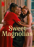 Sweet Magnolias S3 poster