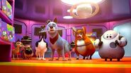 Pets United - Trailer (Official) Netflix