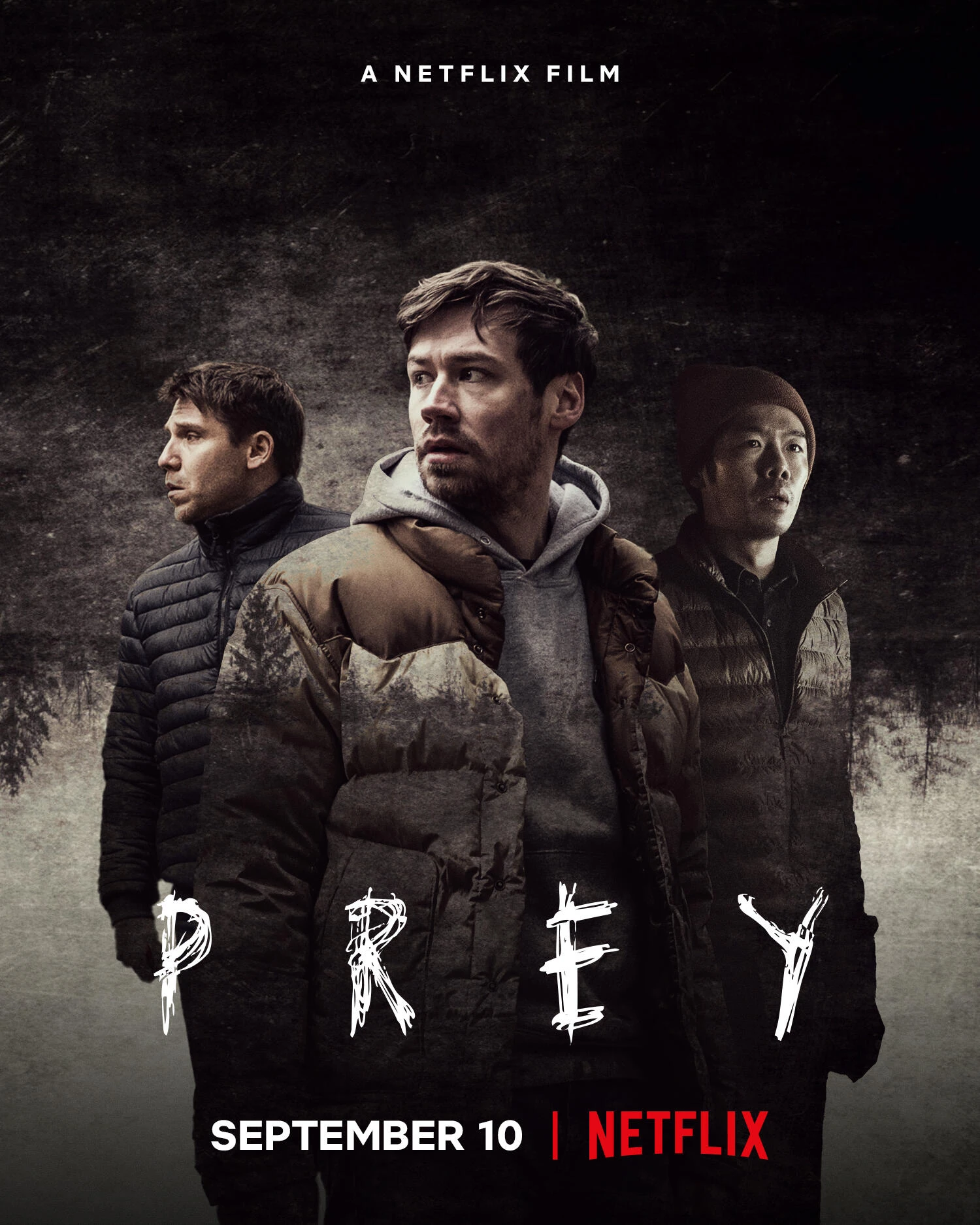 IS PREY ON NETFLIX visual data 3