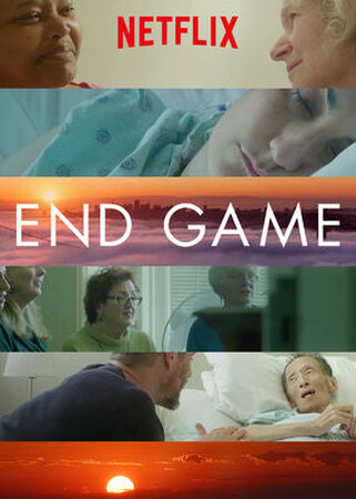 The End Game - An American Crime Drama.